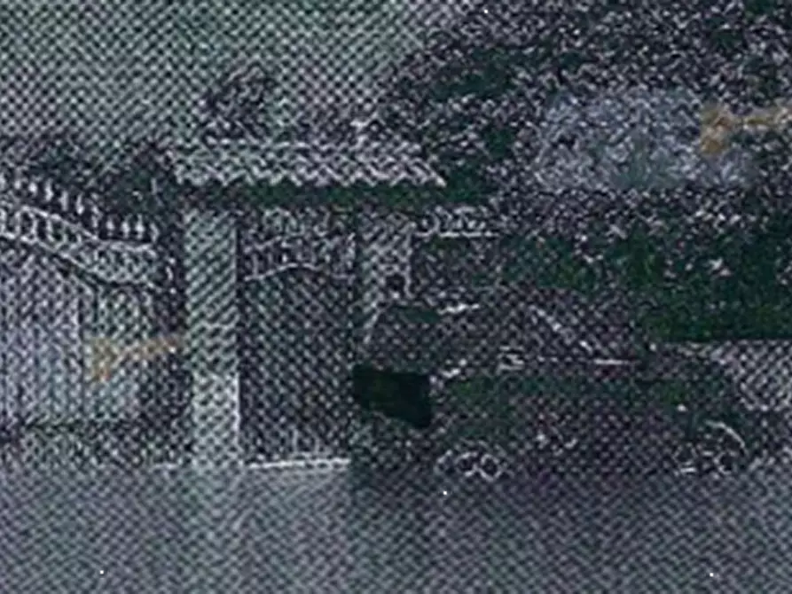 Immagine 2 di Villa in vendita  in Via Fontana Parata a Velletri