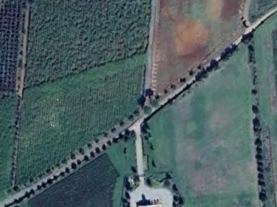 Immagine 23 di Villa in vendita  in Via Fontana Parata a Velletri