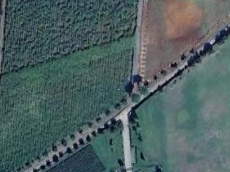 Immagine 20 di Villa in vendita  in Via Fontana Parata a Velletri