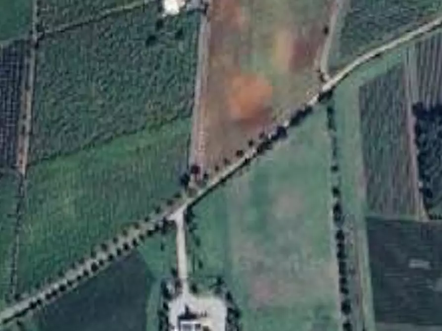 Immagine 17 di Villa in vendita  in Via Fontana Parata a Velletri