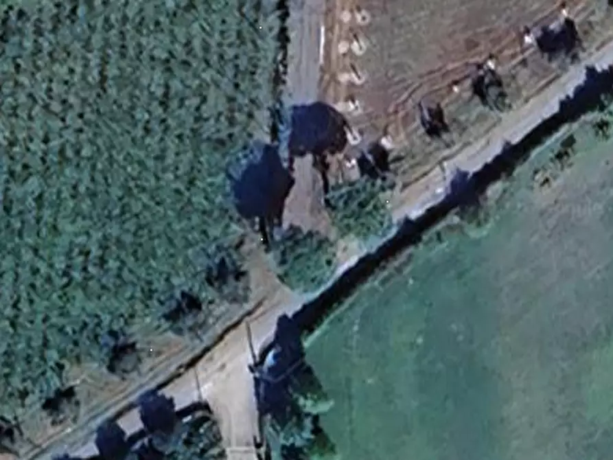 Immagine 18 di Villa in vendita  in Via Fontana Parata a Velletri