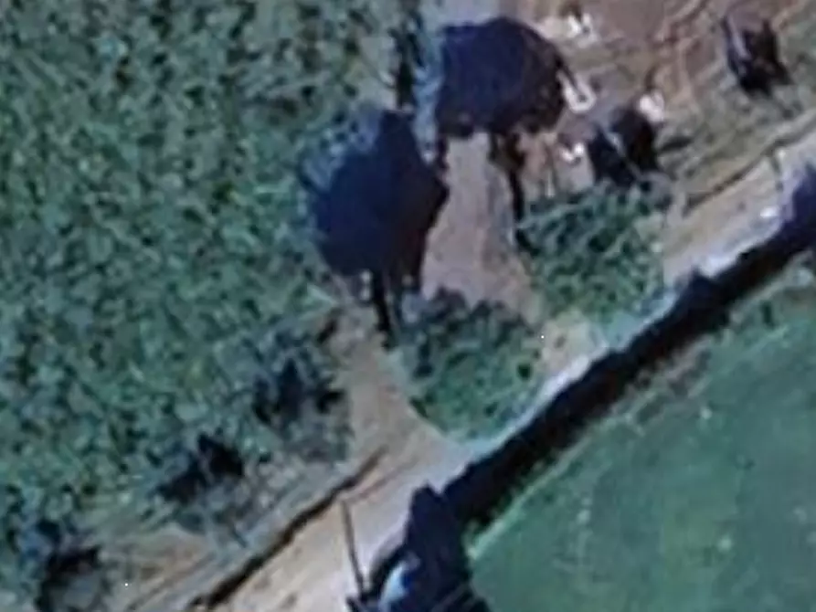 Immagine 19 di Villa in vendita  in Via Fontana Parata a Velletri