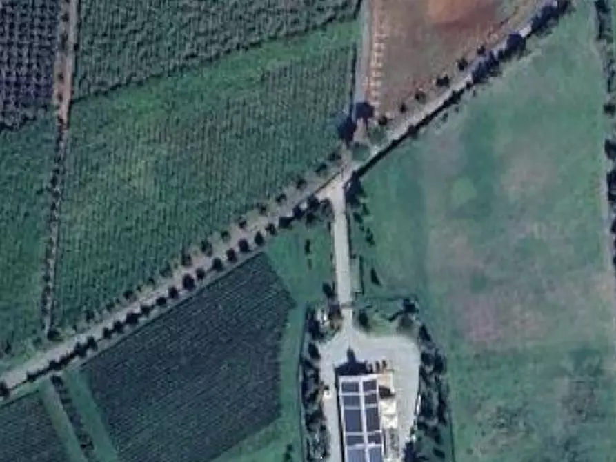 Immagine 24 di Villa in vendita  in Via Fontana Parata a Velletri