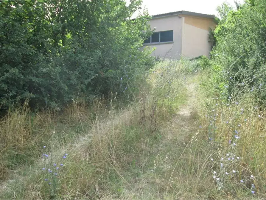 Immagine 2 di Capannone industriale in vendita  in Via la Ghita a Fossombrone