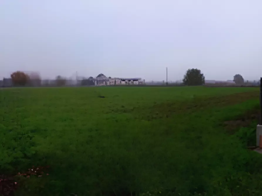 Immagine 3 di Terreno edificabile in vendita  in Frazione Bargnano a Corzano