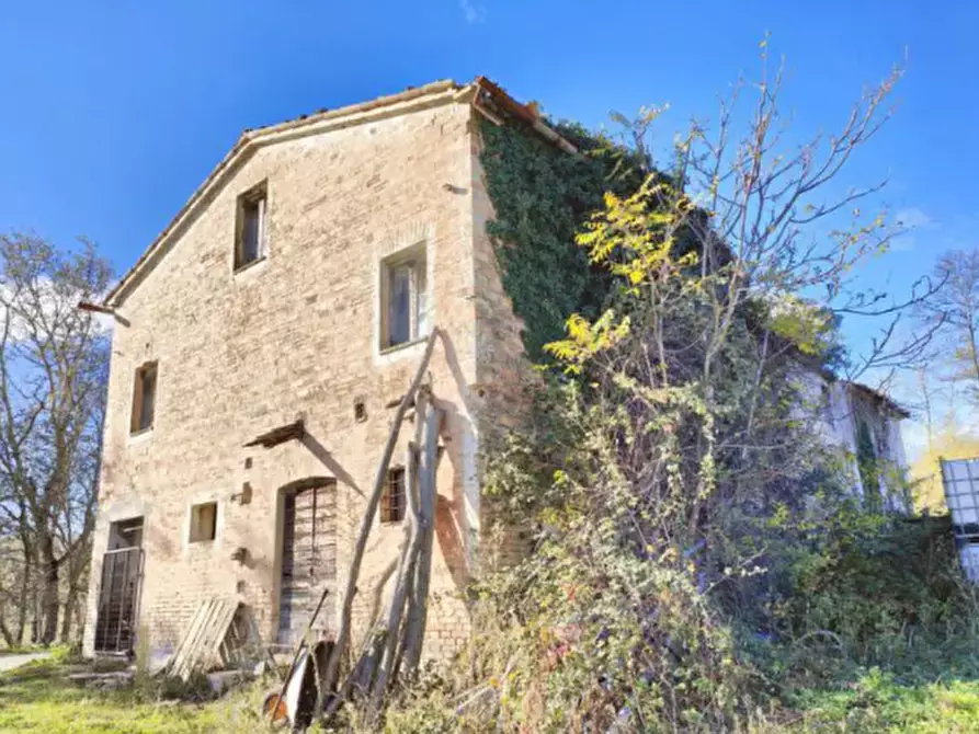 Immagine 3 di Capannone industriale in vendita  in Località Serraspinosa a Pergola