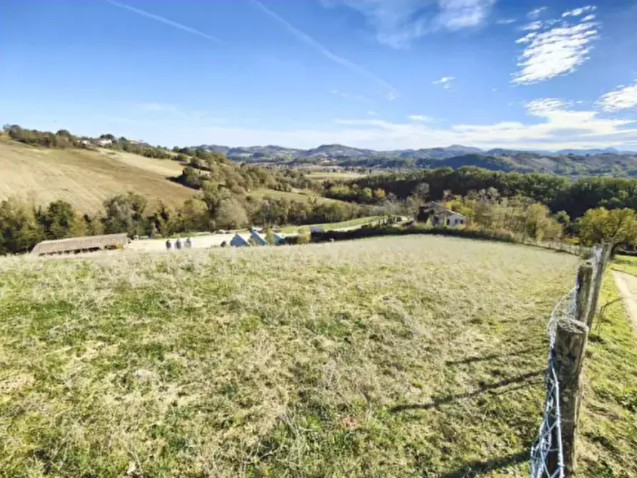 Immagine 5 di Capannone industriale in vendita  in Località Serraspinosa a Pergola