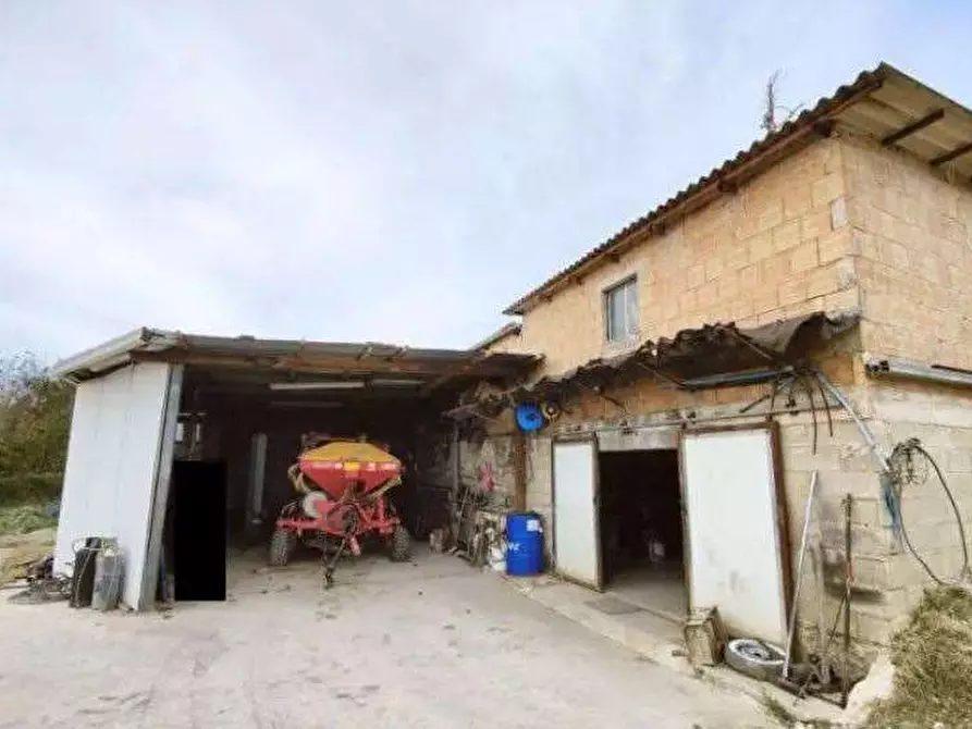 Immagine 3 di Capannone industriale in vendita  in Località Serraspinosa a Pergola