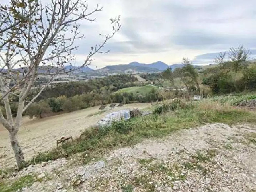 Immagine 6 di Capannone industriale in vendita  in Località Serraspinosa a Pergola