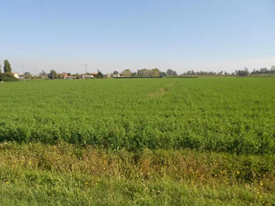 Immagine 1 di Terreno agricolo in vendita  in Via Risorgimento a Porto Tolle