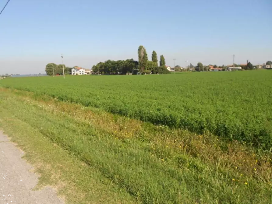 Immagine 2 di Terreno agricolo in vendita  in Via Risorgimento a Porto Tolle