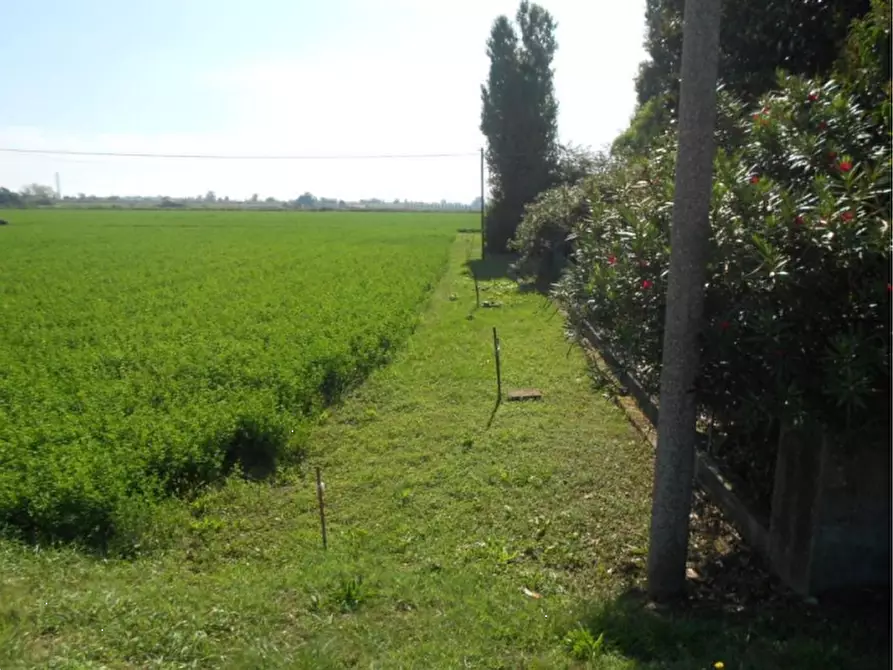Immagine 6 di Terreno agricolo in vendita  in Via Risorgimento a Porto Tolle
