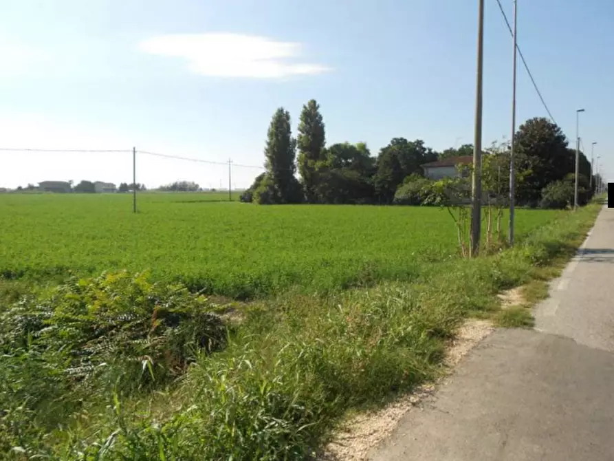 Immagine 8 di Terreno agricolo in vendita  in Via Risorgimento a Porto Tolle