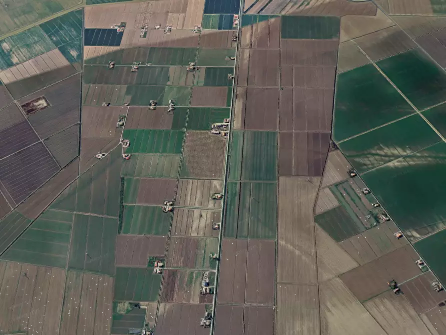 Immagine 15 di Terreno agricolo in vendita  in Via Risorgimento a Porto Tolle