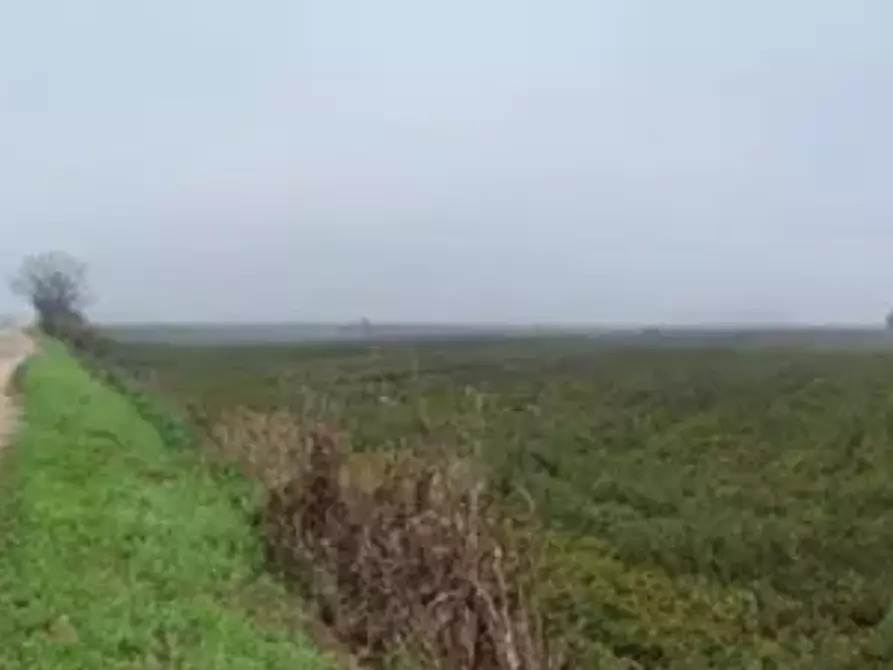 Immagine 1 di Terreno edificabile in vendita  in Località Legnago  a Legnago