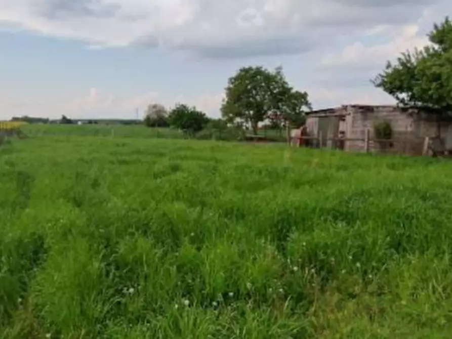 Immagine 4 di Porzione di casa in vendita  in Via Spin a Nogara