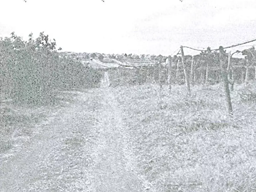 Immagine 11 di Magazzino in vendita  in Via di Santa Fumia a Castel Gandolfo