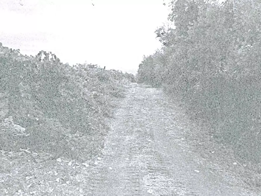 Immagine 13 di Magazzino in vendita  in Via di Santa Fumia a Castel Gandolfo