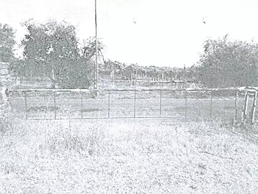 Immagine 16 di Magazzino in vendita  in Via di Santa Fumia a Castel Gandolfo