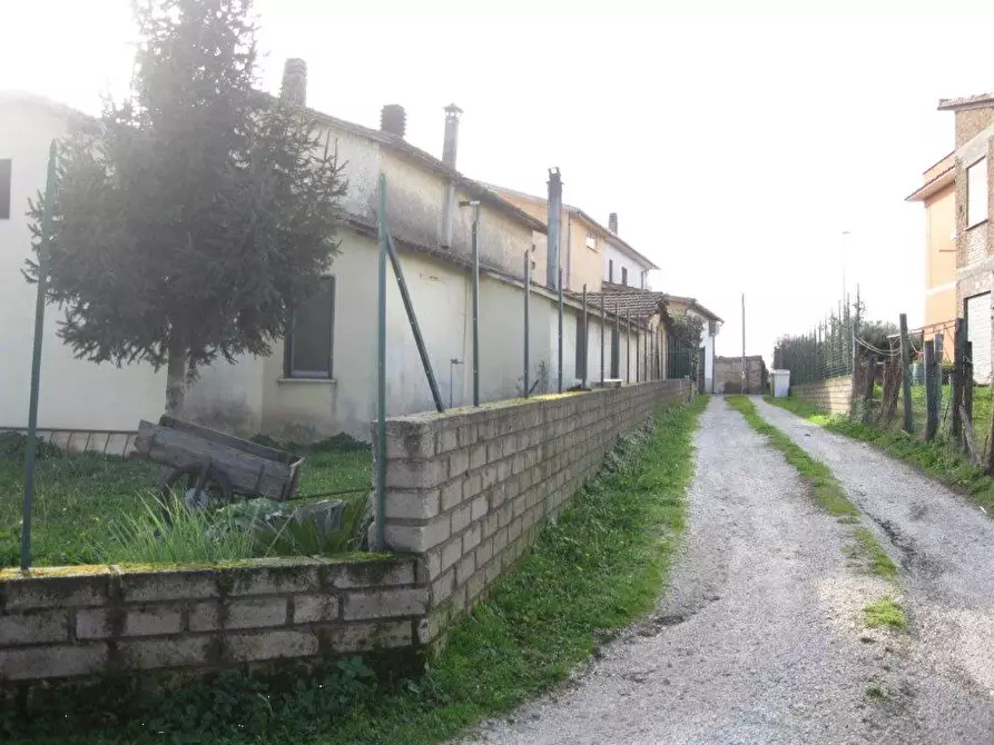 Immagine 2 di Terreno agricolo in vendita  in Via Colle Cagioli a Lariano