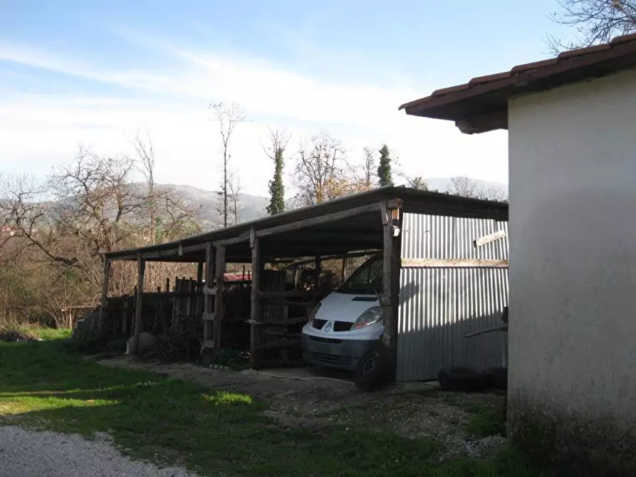 Immagine 3 di Terreno agricolo in vendita  in Via Colle Cagioli a Lariano