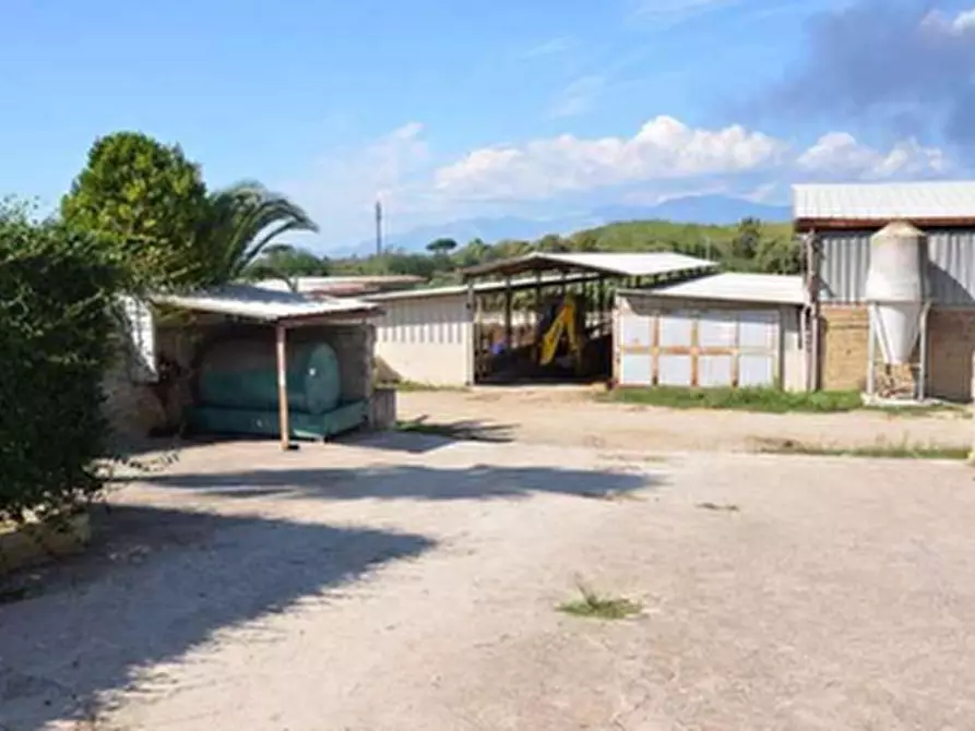 Immagine 3 di Porzione di casa in vendita  in Località Renaro a Sessa Aurunca