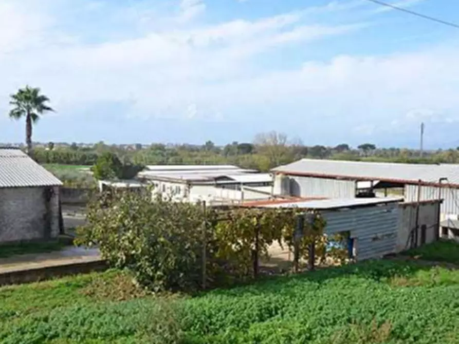 Immagine 4 di Porzione di casa in vendita  in Località Renaro a Sessa Aurunca