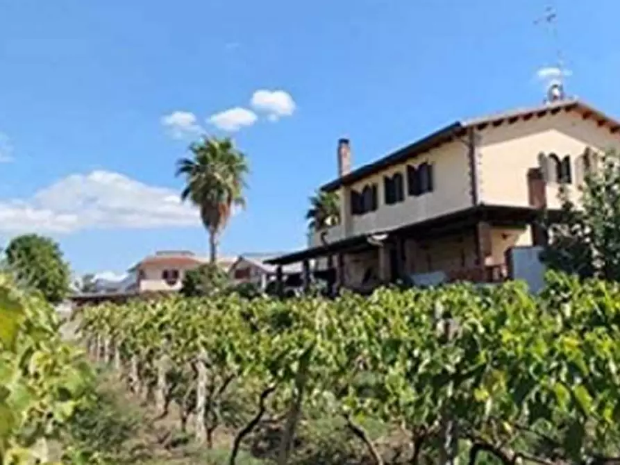 Immagine 5 di Porzione di casa in vendita  in Località Renaro a Sessa Aurunca