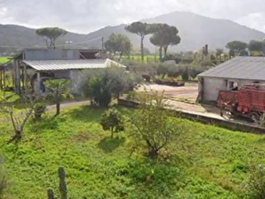 Immagine 13 di Porzione di casa in vendita  in Località Renaro a Sessa Aurunca