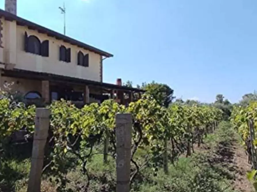 Immagine 15 di Porzione di casa in vendita  in Località Renaro a Sessa Aurunca