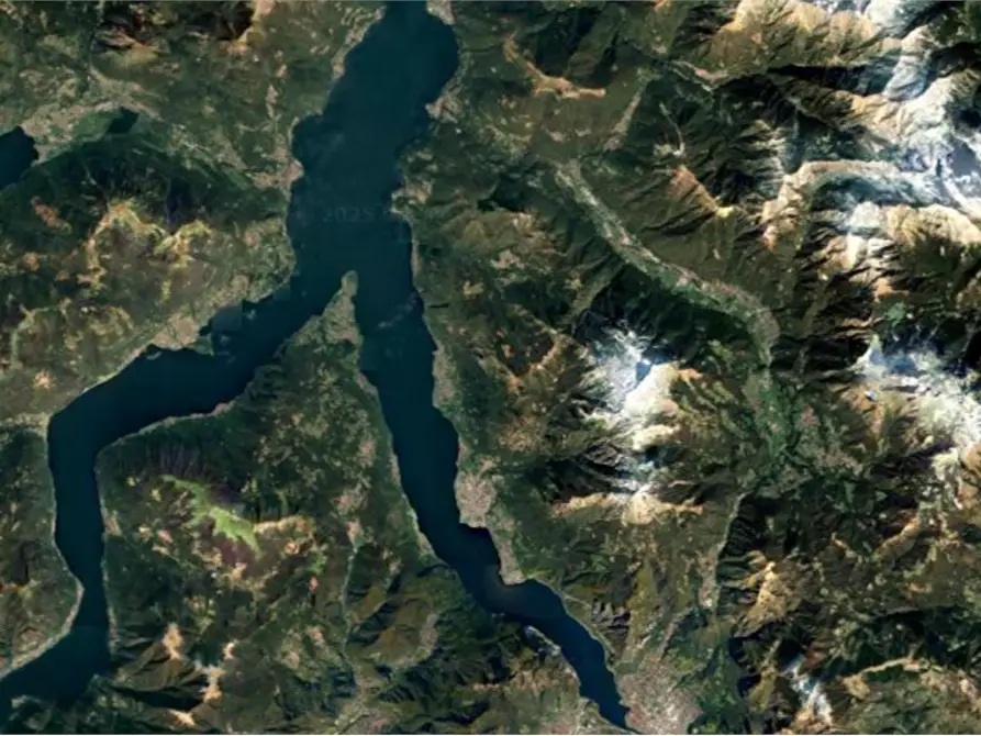Immagine 1 di Terreno agricolo in vendita  in Località Primaluna a Primaluna