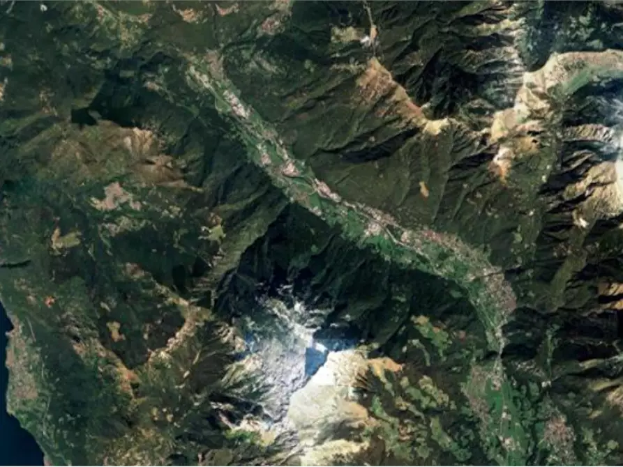 Immagine 2 di Terreno agricolo in vendita  in Località Primaluna a Primaluna