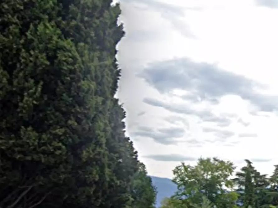 Immagine 9 di Terreno agricolo in vendita  in località Gardone Riviera a Gardone Riviera