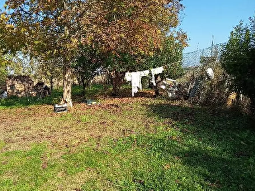 Immagine 5 di Porzione di casa in vendita  in Via Ponte Pietra a Mirandola