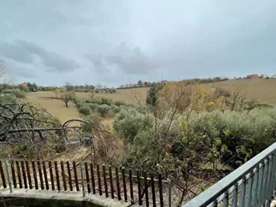 Immagine 2 di Terreno agricolo in vendita  in Via Palazzo a Terre Roveresche