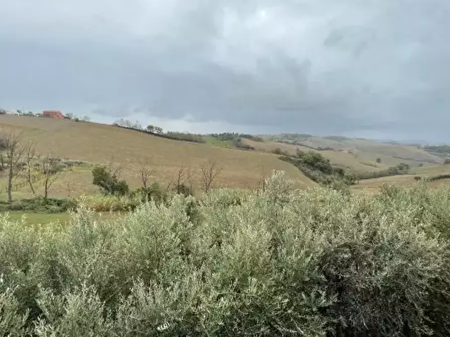 Immagine 1 di Terreno agricolo in vendita  in Via Palazzo a Terre Roveresche
