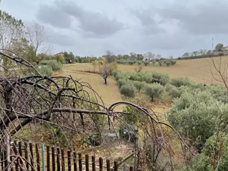 Immagine 3 di Terreno agricolo in vendita  in Via Palazzo a Terre Roveresche