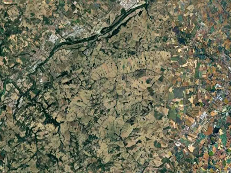 Immagine 7 di Terreno agricolo in vendita  in Via Palazzo a Terre Roveresche