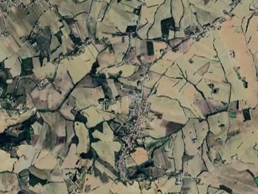 Immagine 8 di Terreno agricolo in vendita  in Via Palazzo a Terre Roveresche