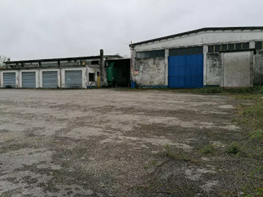 Immagine 3 di Capannone industriale in vendita  in Via Gavioli a Castelmassa