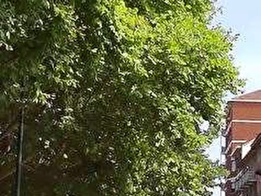 Immagine 2 di Appartamento in vendita  in Via Magnano a Torino