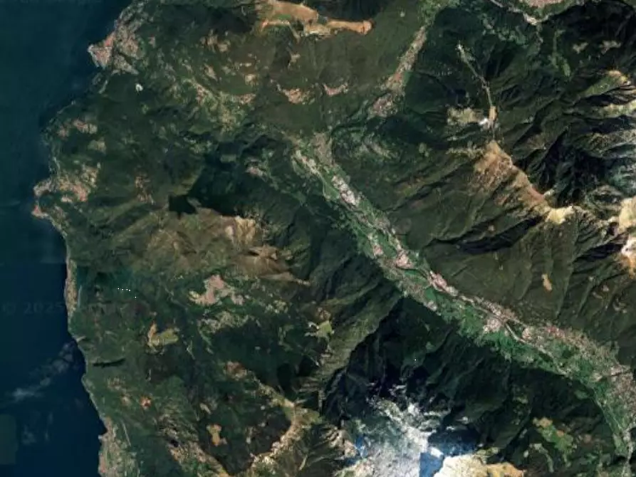 Immagine 2 di Terreno agricolo in vendita  in località Cortenova a Cortenova
