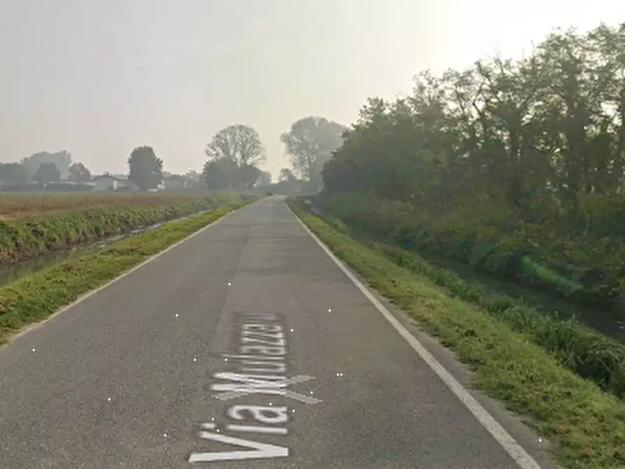 Immagine 8 di Terreno agricolo in vendita  in Via Mulazzana a Terranova Dei Passerini