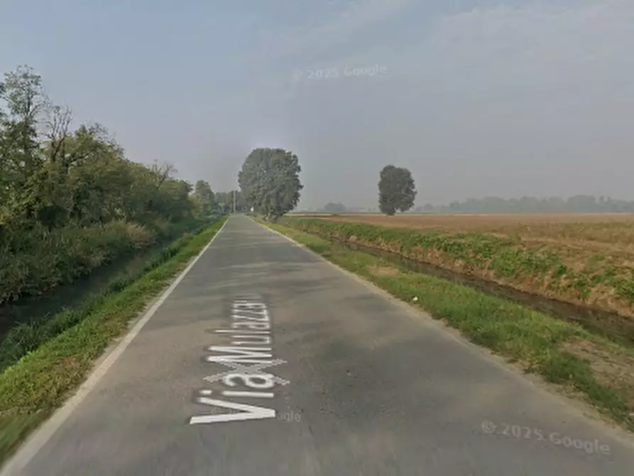 Immagine 7 di Terreno agricolo in vendita  in Via Mulazzana a Terranova Dei Passerini