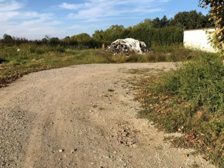 Immagine 1 di Terreno agricolo in vendita  in Via Mulazzana a Terranova Dei Passerini