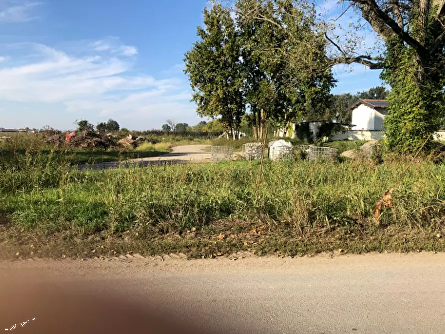 Immagine 2 di Terreno agricolo in vendita  in Via Mulazzana a Terranova Dei Passerini