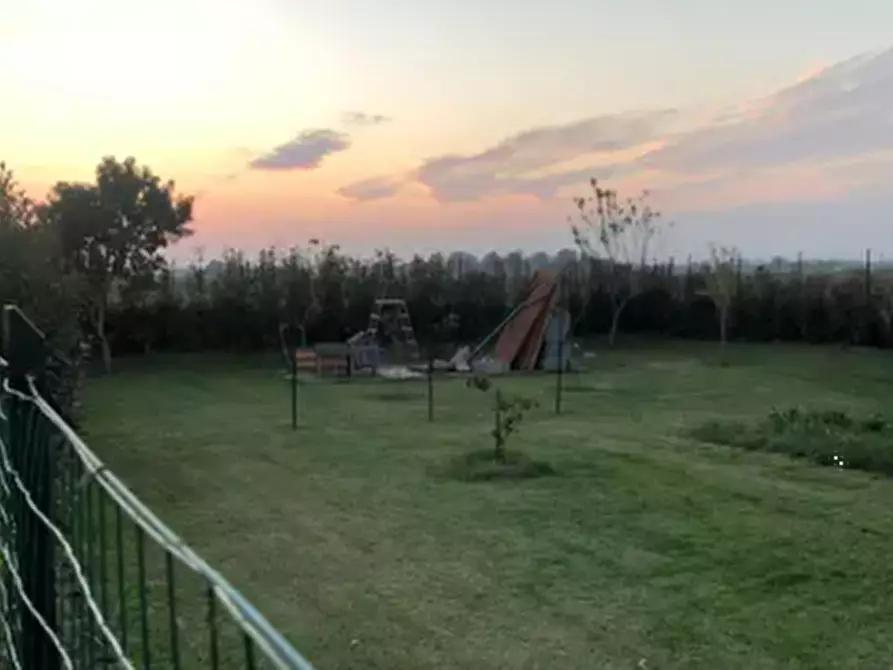Immagine 4 di Terreno agricolo in vendita  in Via Mulazzana a Terranova Dei Passerini