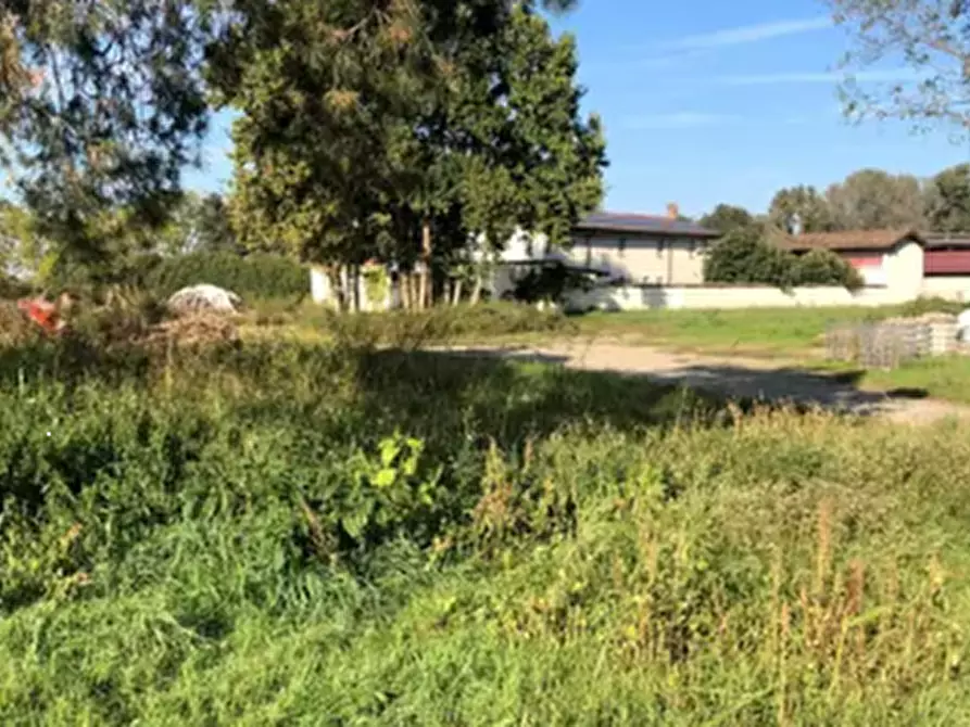 Immagine 5 di Terreno agricolo in vendita  in Via Mulazzana a Terranova Dei Passerini