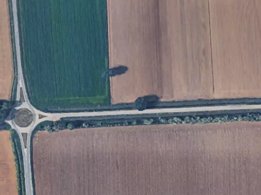 Immagine 9 di Terreno agricolo in vendita  in Via Mulazzana a Terranova Dei Passerini