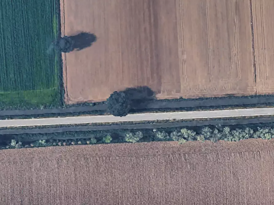 Immagine 10 di Terreno agricolo in vendita  in Via Mulazzana a Terranova Dei Passerini